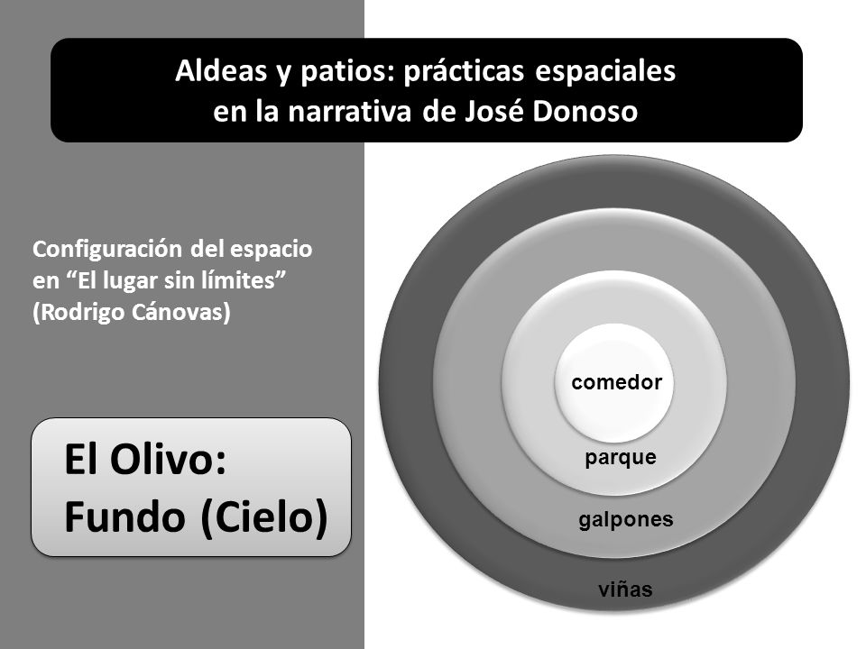 Aldeas y patios: prácticas espaciales en la narrativa de José Donoso