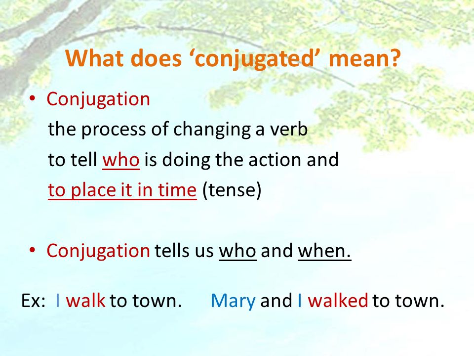 What does ‘conjugated’ mean
