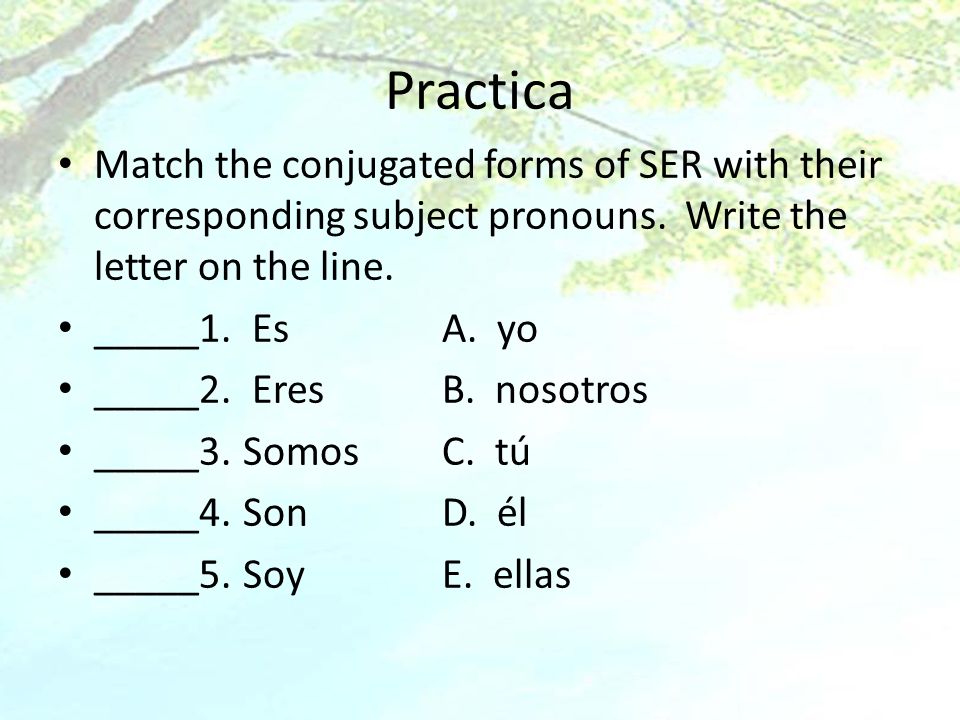 Practica Match the conjugated forms of SER with their corresponding subject pronouns. Write the letter on the line.