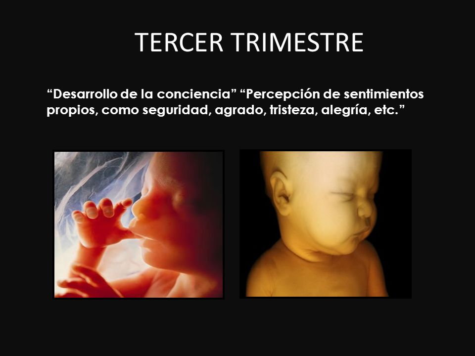 TERCER TRIMESTRE Desarrollo de la conciencia Percepción de sentimientos propios, como seguridad, agrado, tristeza, alegría, etc.