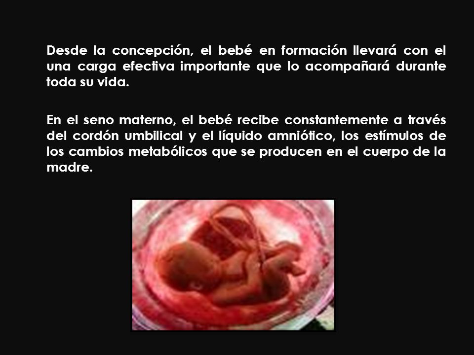 Desde la concepción, el bebé en formación llevará con el una carga efectiva importante que lo acompañará durante toda su vida.