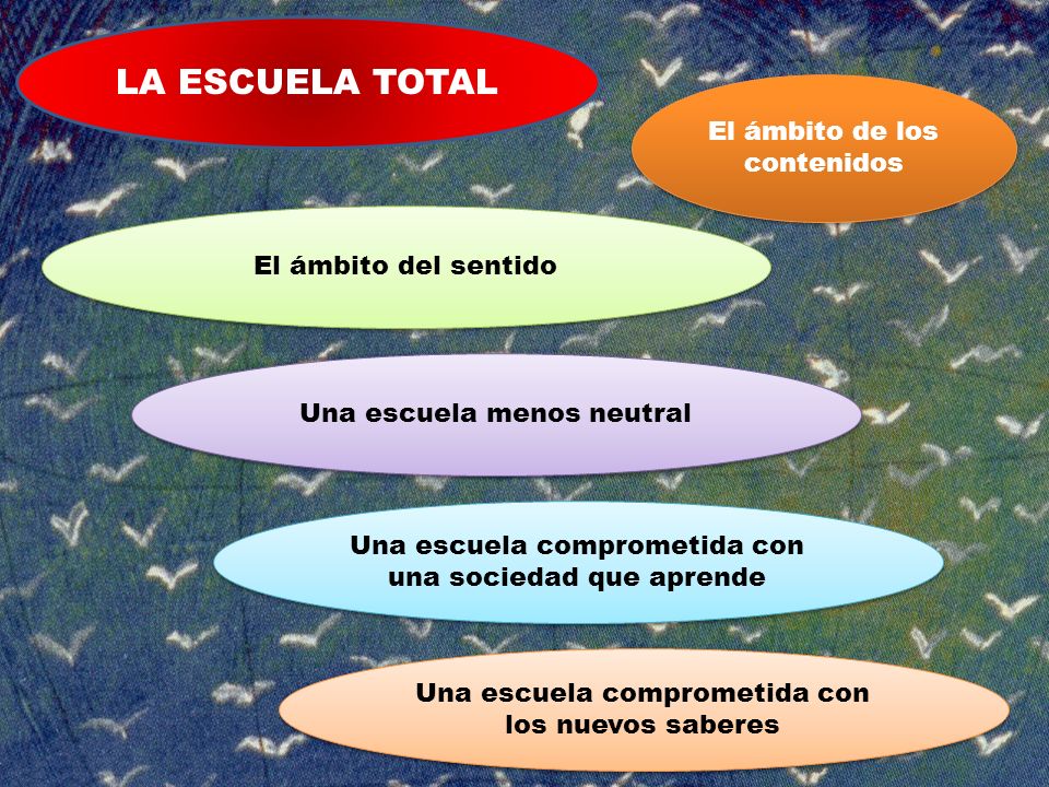 LA ESCUELA TOTAL El ámbito de los contenidos El ámbito del sentido