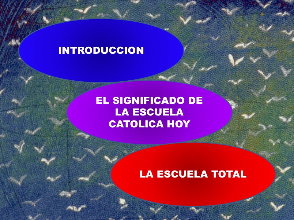 EL SIGNIFICADO DE LA ESCUELA CATOLICA HOY