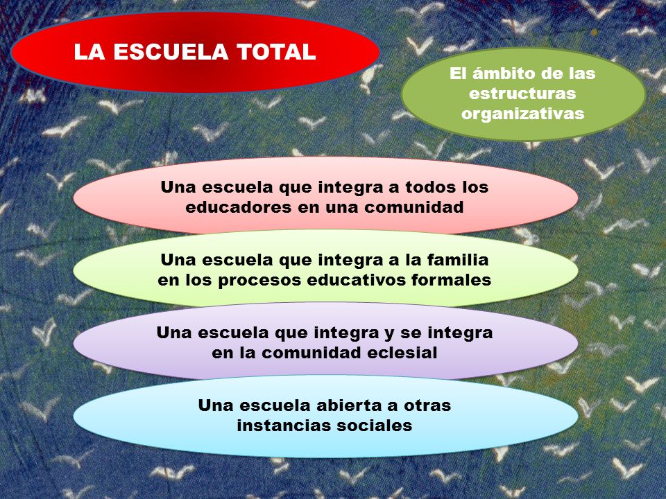 LA ESCUELA TOTAL El ámbito de las estructuras organizativas