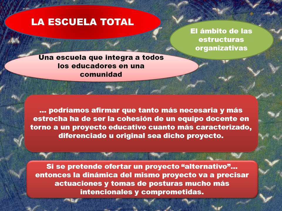 LA ESCUELA TOTAL El ámbito de las estructuras organizativas