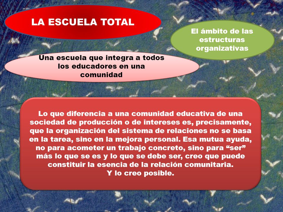 LA ESCUELA TOTAL El ámbito de las estructuras organizativas