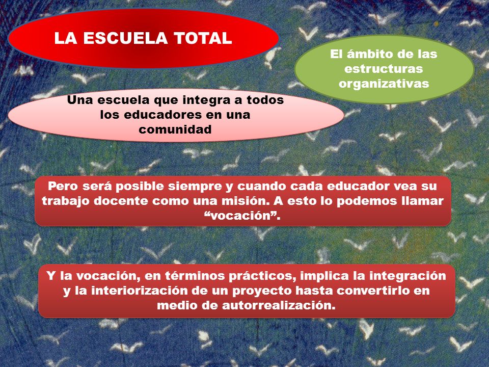 LA ESCUELA TOTAL El ámbito de las estructuras organizativas