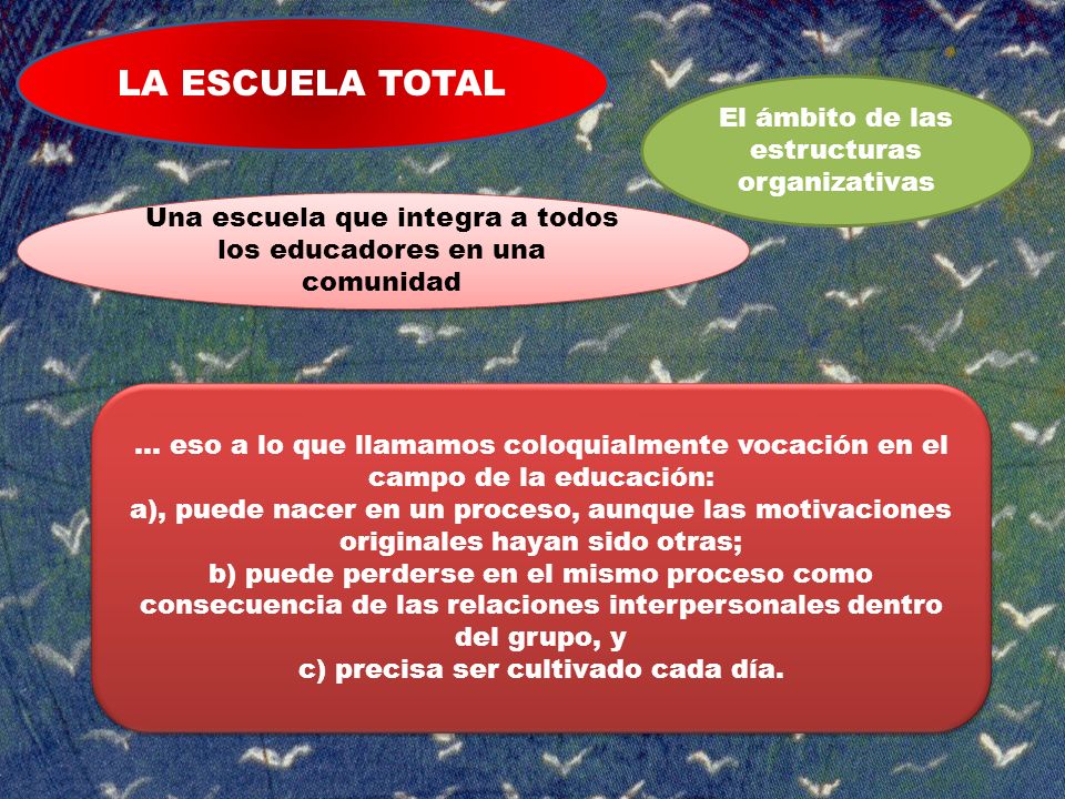 LA ESCUELA TOTAL El ámbito de las estructuras organizativas