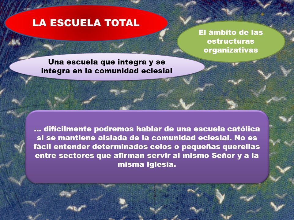LA ESCUELA TOTAL El ámbito de las estructuras organizativas