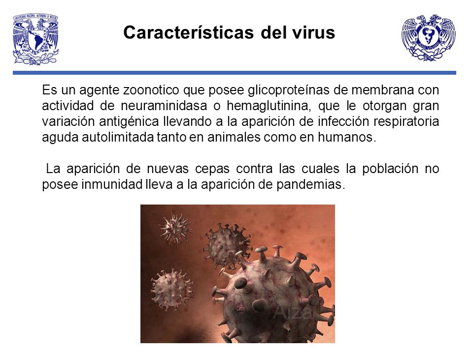 Características del virus