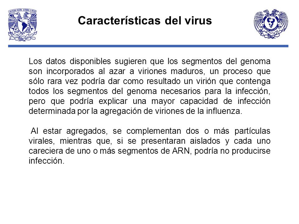 Características del virus