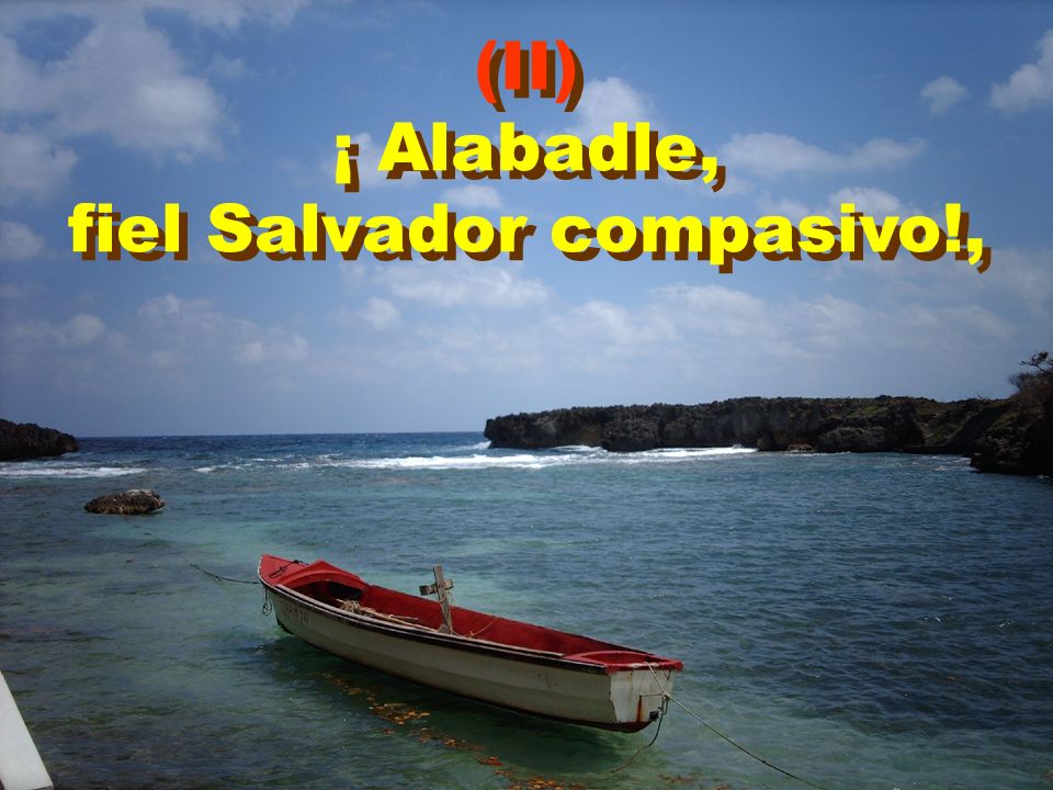fiel Salvador compasivo!,