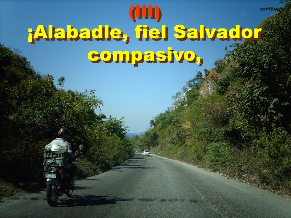 ¡Alabadle, fiel Salvador compasivo,