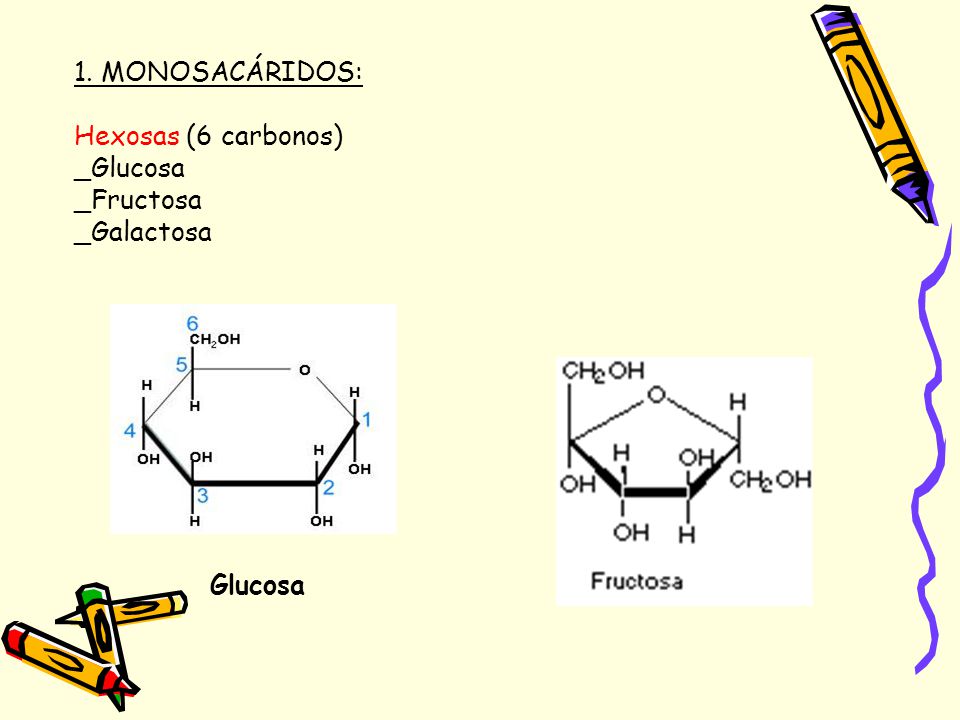 1. MONOSACÁRIDOS: Hexosas (6 carbonos) _Glucosa _Fructosa _Galactosa Glucosa