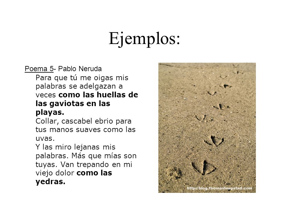 Ejemplos: Poema 5- Pablo Neruda