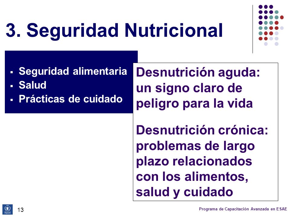 3. Seguridad Nutricional