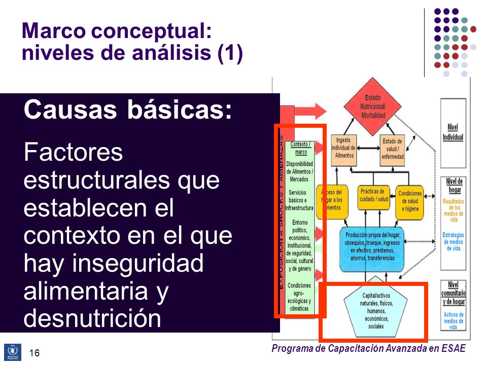 Marco conceptual: niveles de análisis (1)