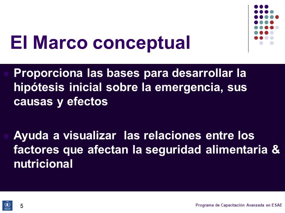 El Marco conceptual Proporciona las bases para desarrollar la hipótesis inicial sobre la emergencia, sus causas y efectos.
