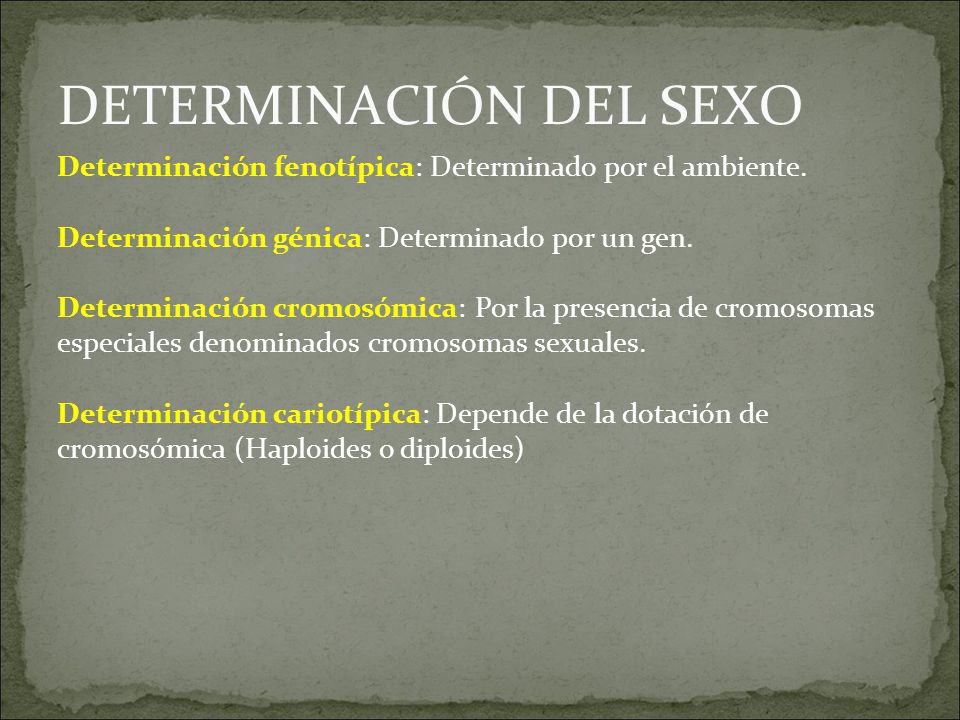 DETERMINACIÓN DEL SEXO