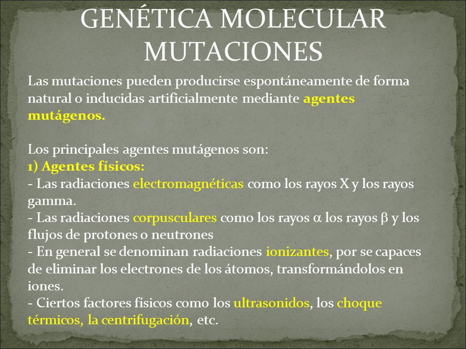 GENÉTICA MOLECULAR MUTACIONES