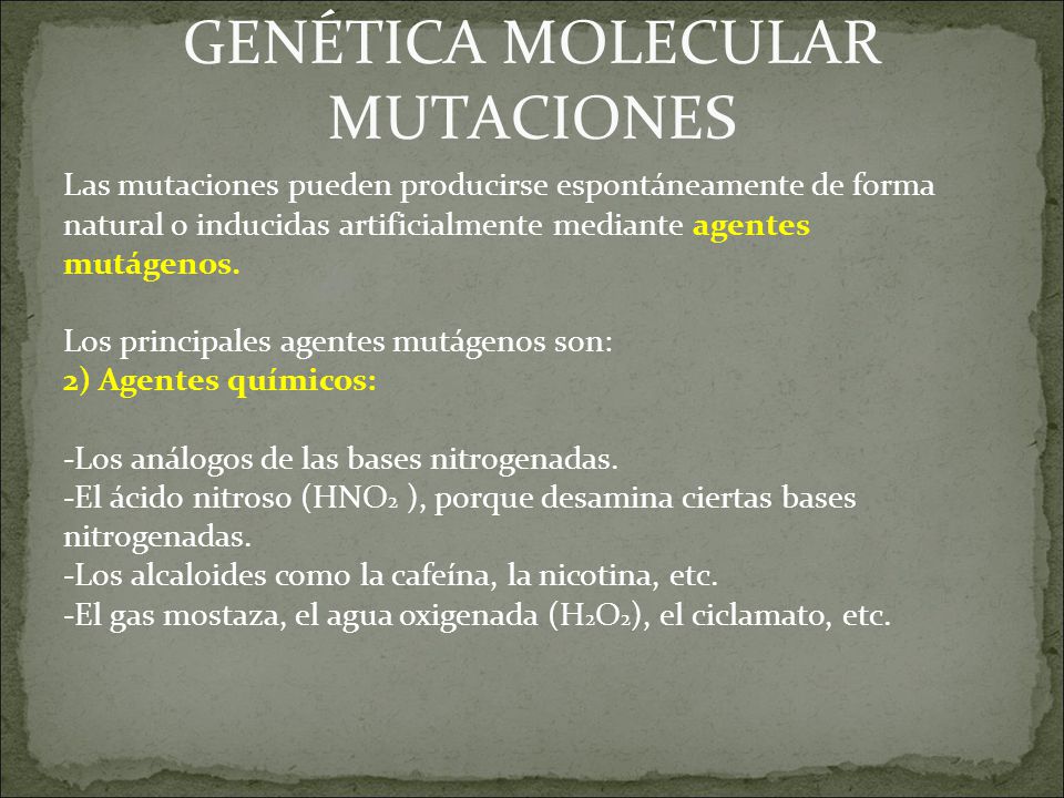 GENÉTICA MOLECULAR MUTACIONES