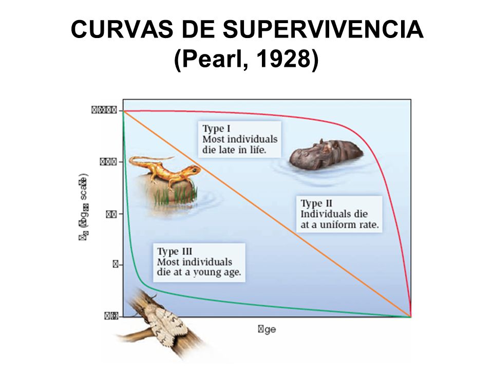 CURVAS DE SUPERVIVENCIA (Pearl, 1928)