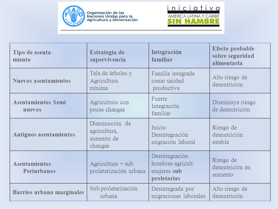 Tipo de asenta- miento. Estrategia de. supervivencia. Integración. familiar. Efecto probable. sobre seguridad.