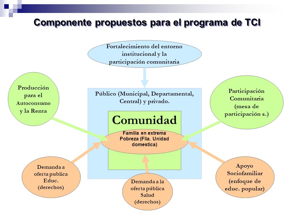 Componente propuestos para el programa de TCI