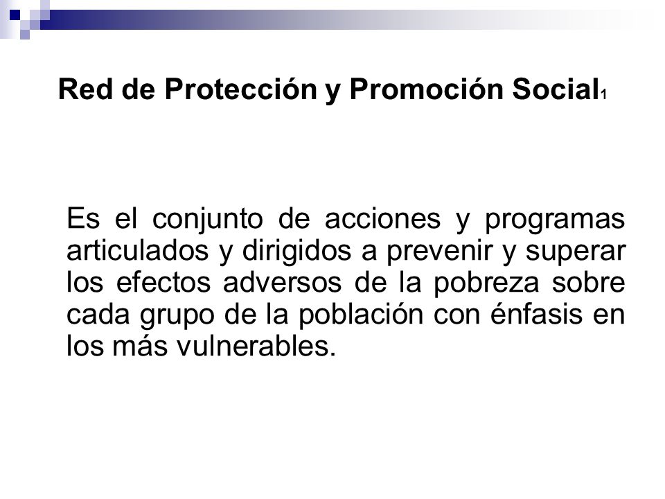 Red de Protección y Promoción Social1
