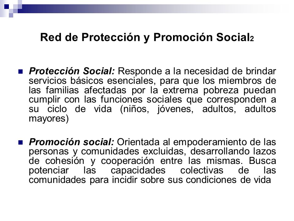 Red de Protección y Promoción Social2