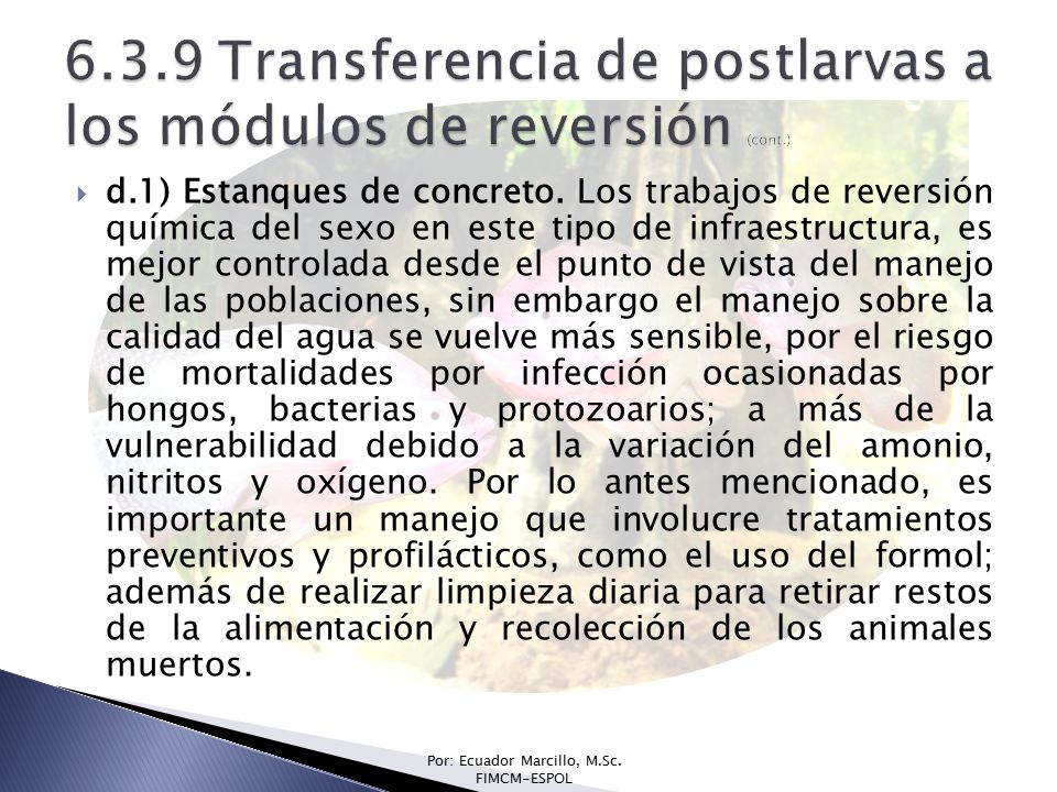 6.3.9 Transferencia de postlarvas a los módulos de reversión (cont.)