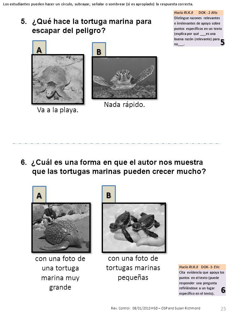 5 A B A B 6 Nada rápido. Va a la playa.
