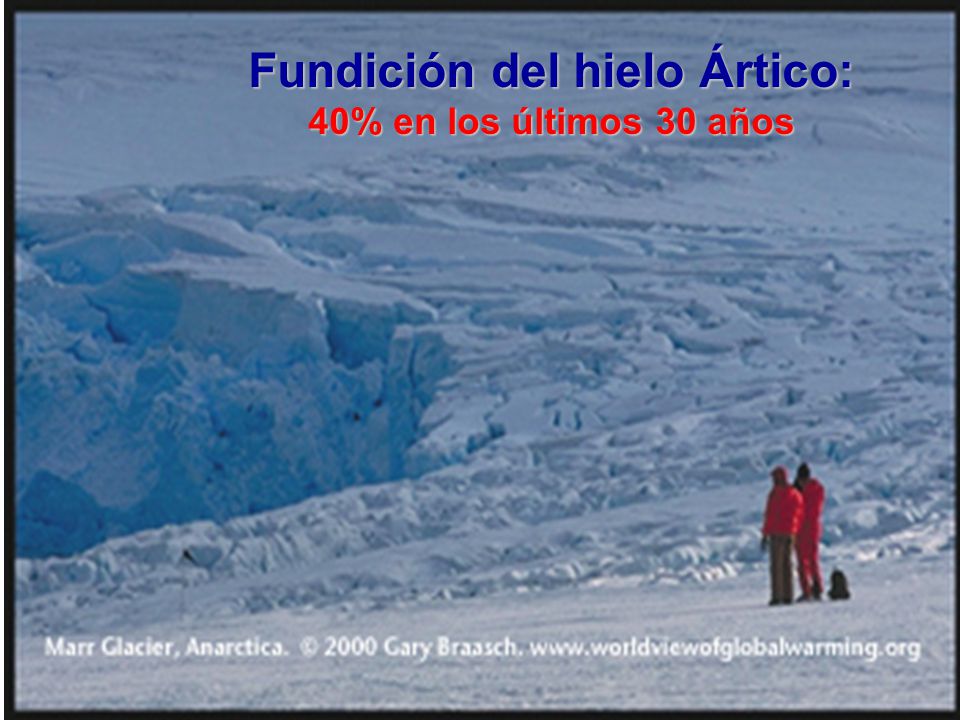 Fundición del hielo Ártico: 40% en los últimos 30 años