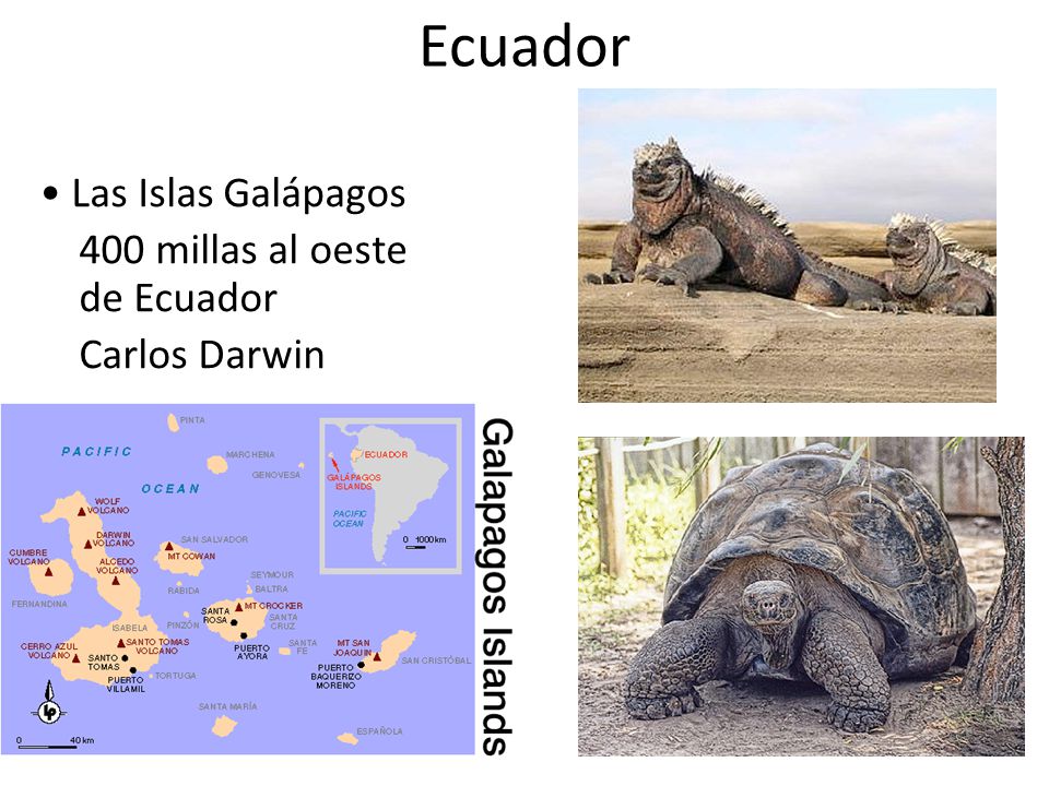 Ecuador • Las Islas Galápagos 400 millas al oeste de Ecuador Carlos Darwin
