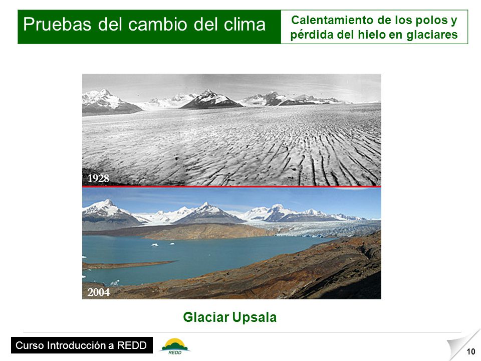 Calentamiento de los polos y pérdida del hielo en glaciares