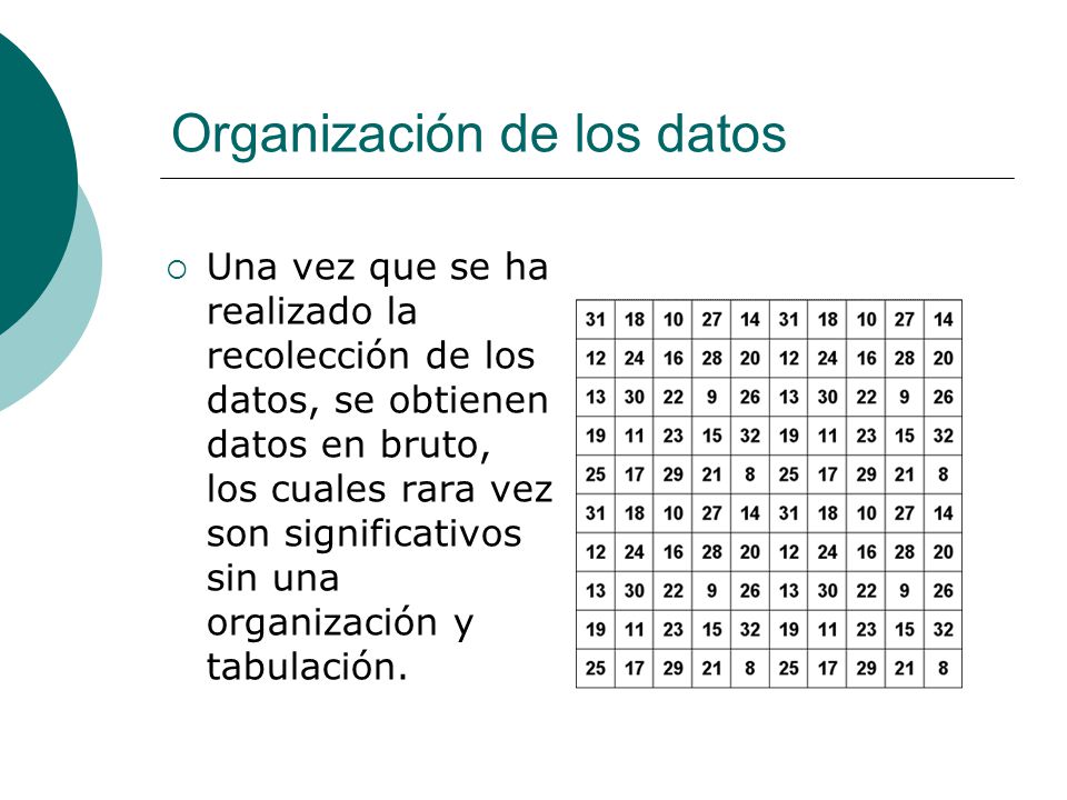 Organización de los datos
