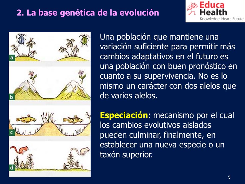 2. La base genética de la evolución