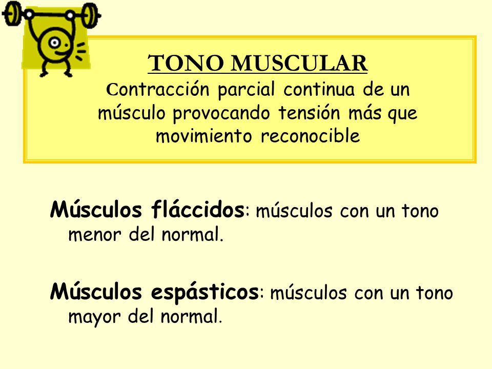 TONO MUSCULAR Contracción parcial continua de un músculo provocando tensión más que movimiento reconocible
