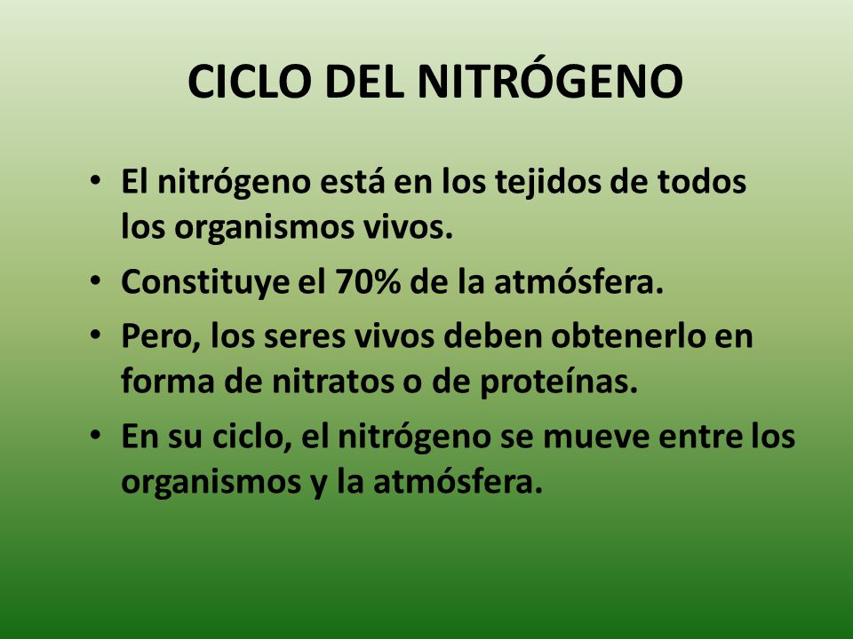 CICLO DEL NITRÓGENO El nitrógeno está en los tejidos de todos los organismos vivos. Constituye el 70% de la atmósfera.