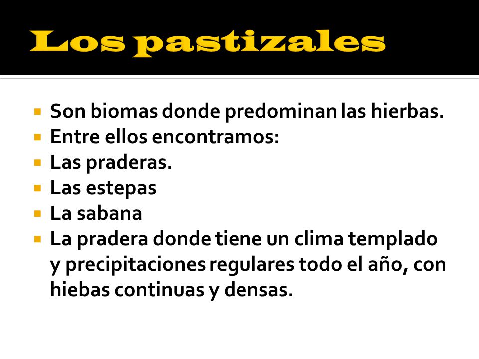 Los pastizales Son biomas donde predominan las hierbas.