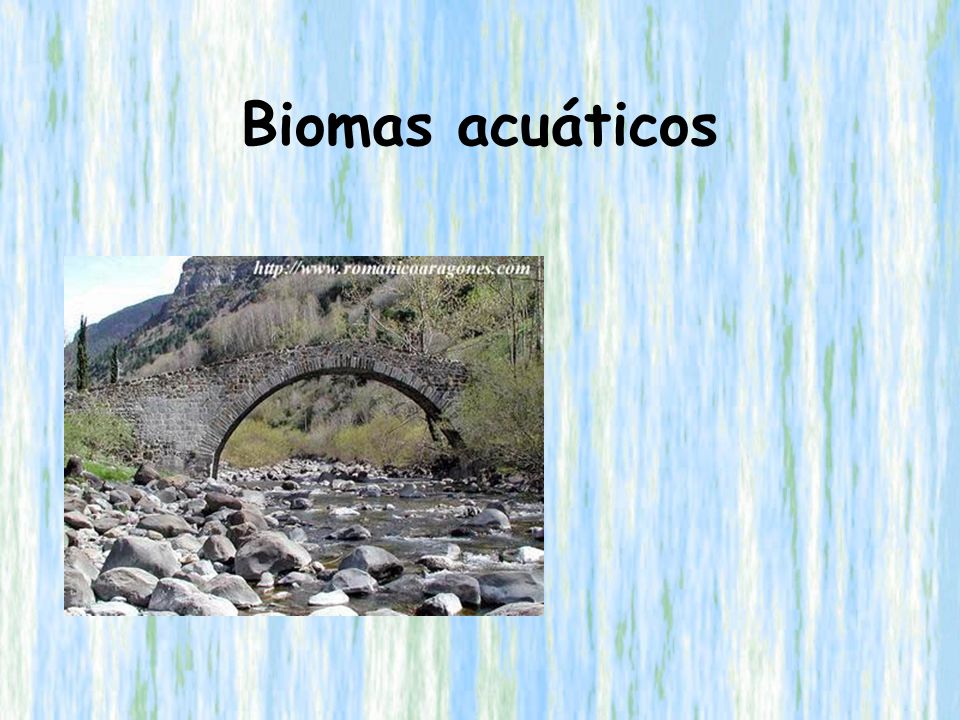 Biomas acuáticos