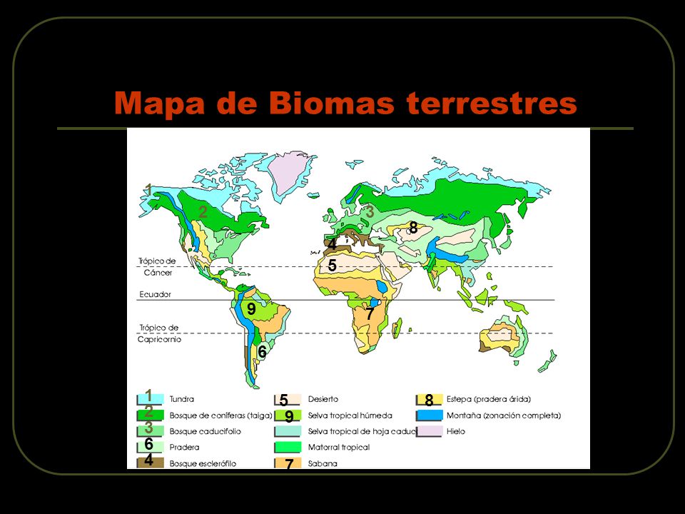 Mapa de Biomas terrestres