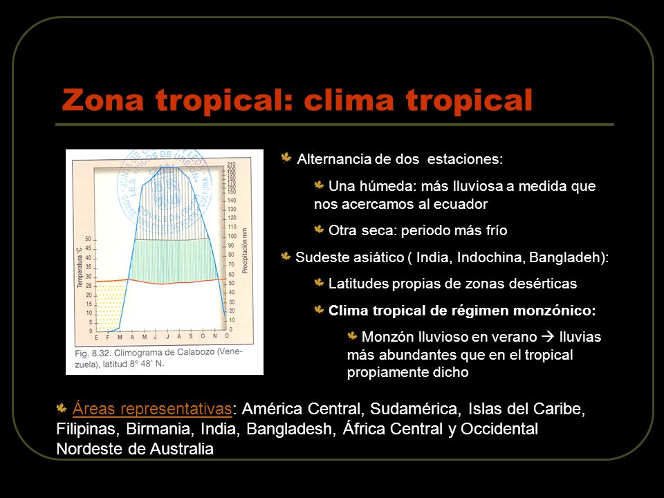 Zona tropical: clima tropical