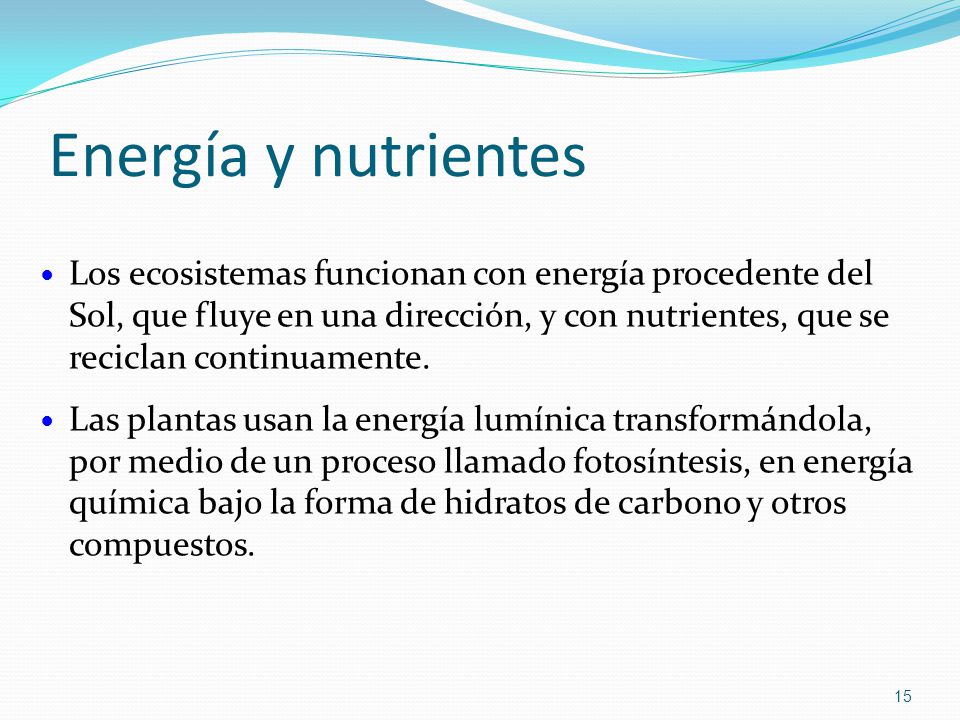 Energía y nutrientes