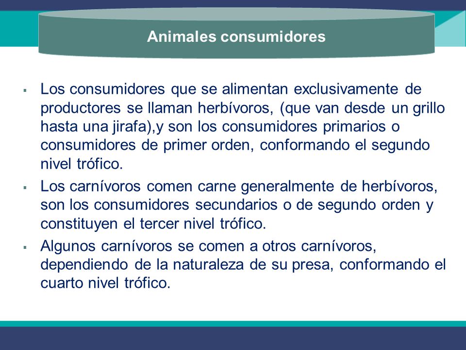 Animales consumidores