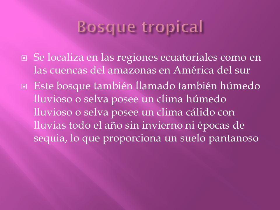 Bosque tropical Se localiza en las regiones ecuatoriales como en las cuencas del amazonas en América del sur.