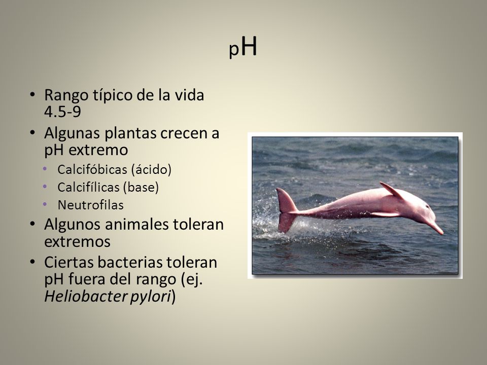pH Rango típico de la vida Algunas plantas crecen a pH extremo