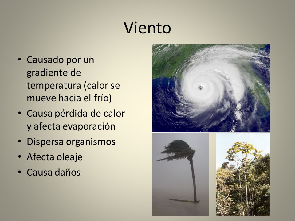 Viento Causado por un gradiente de temperatura (calor se mueve hacia el frío) Causa pérdida de calor y afecta evaporación.