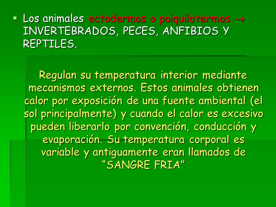 Los animales ectodermos o poiquilotermos  INVERTEBRADOS, PECES, ANFIBIOS Y REPTILES.