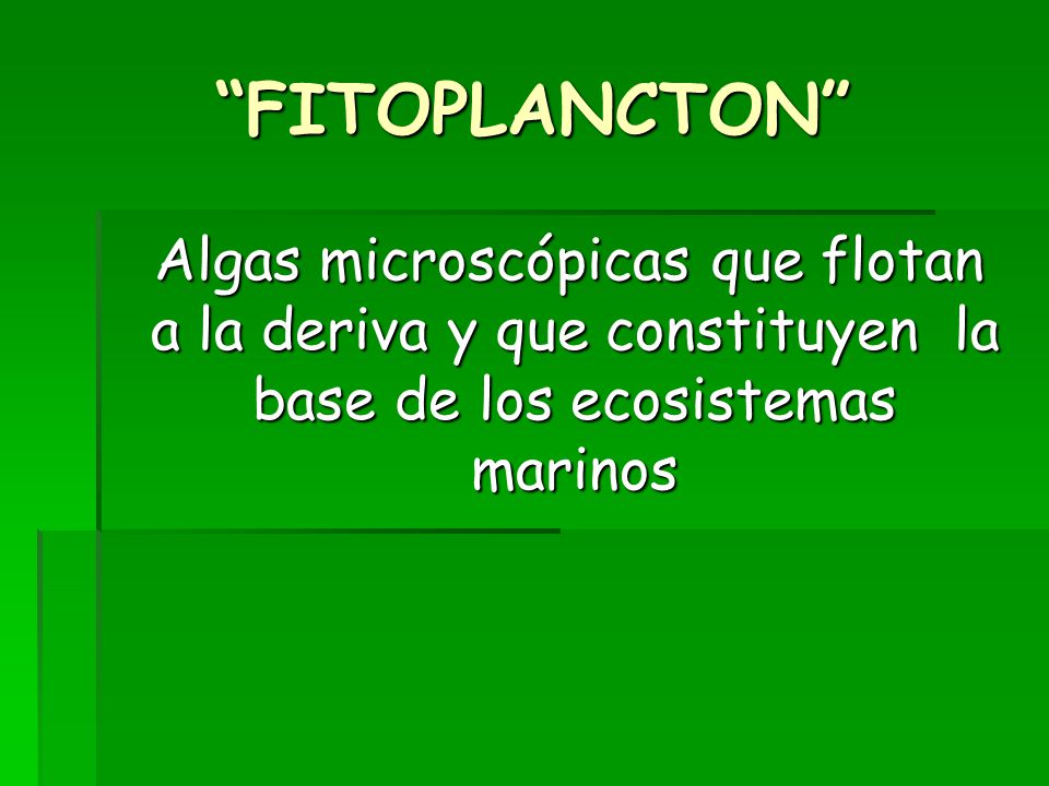 FITOPLANCTON Algas microscópicas que flotan a la deriva y que constituyen la base de los ecosistemas marinos.